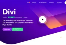 divi-theme